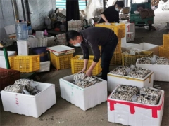 江永縣退役軍人彭文林捐贈(zèng)一千多公斤新鮮食用菌助力武漢疫情防控 ()