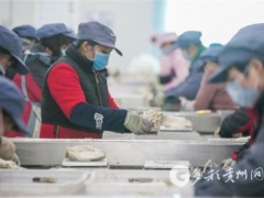 畢節(jié)：大方雪榕復工 每天上市食用菌120余噸 ()