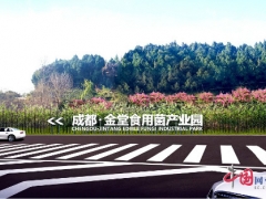“一對一”專人服務 成都金堂食用菌產(chǎn)業(yè)園復工復產(chǎn) ()
