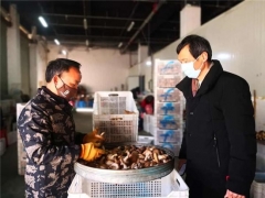 浙江省委疫情防控巡回督導組持續(xù)跟蹤加快主導產(chǎn)業(yè)復工復產(chǎn) 慶元香菇“活”起來了 ()