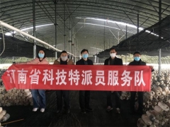 香菇平菇已賣1.2萬公斤！漯河醫(yī)專助力幫扶村很得力 ()