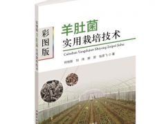 2020第五屆全國羊肚菌大會免費獲贈《彩圖版羊肚菌實用栽培技術(shù)》名單 ()