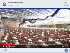 寧晉縣金元食用菌種植專業(yè)合作社帶領(lǐng)2020第五屆全國羊肚菌大會代表遠程參觀羊肚菌基地 ()