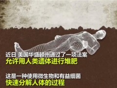 為什么“人體種蘑菇，用人體做堆肥”這么可怕的項(xiàng)目會(huì)被批準(zhǔn)？ ()