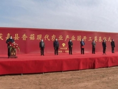 總投資4000萬(wàn) 占地200畝 獲嘉縣香菇現(xiàn)代農(nóng)業(yè)產(chǎn)業(yè)園項(xiàng)目開(kāi)工奠基 ()