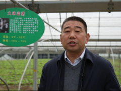 聚焦熱點  弘亞·2020第二屆中國大球蓋菇產(chǎn)業(yè)發(fā)展大會圓滿結束 ()