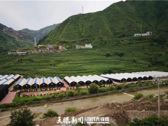 探秘！食用菌發(fā)展中的菌農(nóng)期待與產(chǎn)業(yè)鏈回應(yīng) ()