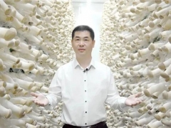 縣委書記路斌為道真食用菌代言！ ()