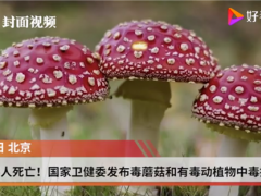 已造成6人死亡！國家衛(wèi)健委發(fā)布毒蘑菇和有毒動植物中毒提示 ()