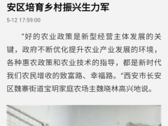 人民日報社報道：陜西學員魏曉林，羊肚菌畝產(chǎn)超千斤 ()