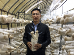 學機械的種起了蘑菇，膠州小伙跨界創(chuàng)業(yè)年產(chǎn)值三千多萬出口多國 ()