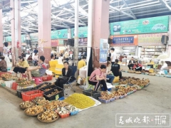 為菌瘋狂的時(shí)候到了！昆明野生菌大量上市 干巴菌最低300元/公斤 ()