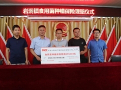 因暴風(fēng)雨食用菌種植基地受損 人保財(cái)險(xiǎn)及時(shí)賠付助復(fù)產(chǎn) ()