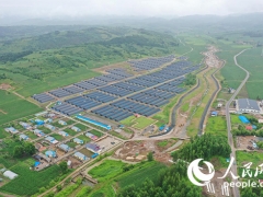人民網(wǎng)："小木耳"如何做成"大產(chǎn)業(yè)"——專(zhuān)訪中國(guó)工程院院士李玉 ()
