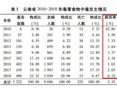 云南人嘗鮮見(jiàn)手青蘑菇能看到小精靈？這不好玩 還很?chē)?yán)重 ()