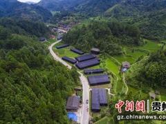 貴州臺(tái)江：香菇產(chǎn)銷(xiāo)旺 農(nóng)民喜增收 ()
