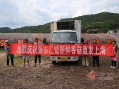 復(fù)工復(fù)產(chǎn)后 云南景東首車香菇運往上海 ()