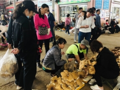 吃菌要抓緊，快落潮啦！昆明野生菌價(jià)格上漲 雞樅干巴菌最多 ()
