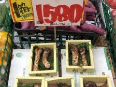 今年松茸季“異變”：對(duì)日出口滑坡 頂級(jí)松茸國(guó)內(nèi)熱賣——不僅因?yàn)橐咔?()