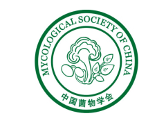 2020年中國菌物學(xué)發(fā)展論壇暨學(xué)會理事會編委會擴大會議通知（第一輪） ()