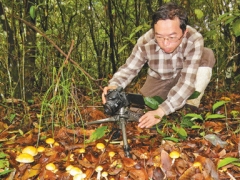 《人民日報》點贊這位“蘑菇先生”——中科院昆明植物所研究員楊祝良 ()