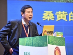 戴玉成：所有桑黃種類都具有增強免疫力等功能 ()
