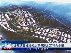 東寧：綏陽鎮(zhèn)高標(biāo)準(zhǔn)規(guī)劃建設(shè)黑木耳特色小鎮(zhèn) ()