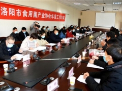 洛陽市食用菌產(chǎn)業(yè)協(xié)會揭牌儀式在洛陽農(nóng)林科學(xué)院舉行 ()