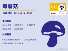 深圳市疾病風險預報：毒蘑菇 ()