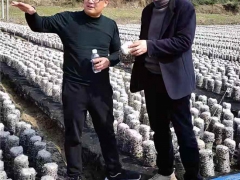 湖北省遠安縣食用菌協(xié)會赴房縣考察學習食用菌產業(yè)發(fā)展 ()