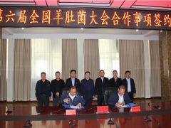 易菇網與舟曲縣就2021第六屆全國羊肚菌大會有關事項簽訂合作協(xié)議 ()
