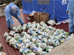 湖北省農科院食用菌團隊發(fā)明一種香菇專用保鮮材料 ()