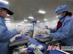 甘州食用菌產業(yè)定了一個“十四五”小目標 ()