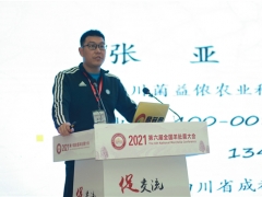 張亞：北方羊肚菌產(chǎn)業(yè)如何持續(xù)高產(chǎn)優(yōu)勢是未來重點 ()