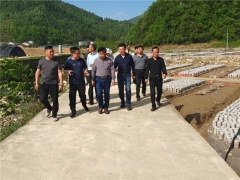 湖北省農(nóng)業(yè)科學院領導調(diào)研指導房縣天禾食用菌專業(yè)合作社黑木耳種植情況 ()
