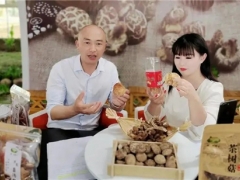 宜昌茅坪場鎮(zhèn)：電商直播助力香菇銷售駛?cè)搿翱燔嚨馈?()
