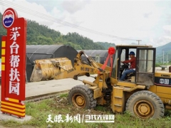 捐贈(zèng)100萬(wàn)元擴(kuò)建10個(gè)食用菌大棚！道真這個(gè)茅臺(tái)幫扶園多了四川經(jīng)銷商的愛心力量 ()