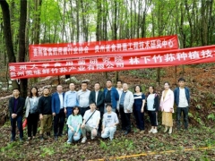 專家助力，貴陽市順海林場(chǎng)岔二巖林下紅托竹蓀種植基地成功開展種植技術(shù)培訓(xùn)會(huì) ()