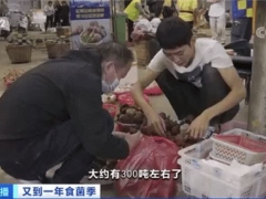 又到吃菌季！云南野生菌每天上市300多噸，當(dāng)?shù)匦l(wèi)健委發(fā)預(yù)警：謹(jǐn)防中毒！哪些菌子不能吃？ ()