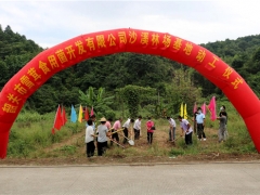 韶關：投資2000萬雪茸食用菌基地在曲江沙溪鎮(zhèn)動工 ()