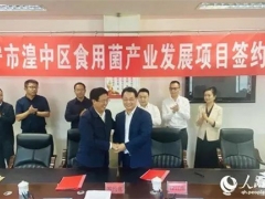 投資5億元！西寧市湟中區(qū)食用菌產(chǎn)業(yè)迎來提檔升級(jí) ()