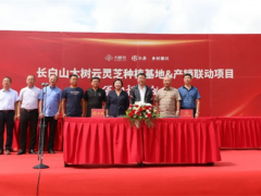 吉林磐石：取柴河鎮(zhèn)舉行長白山大樹云靈芝種植基地產(chǎn)銷聯(lián)動項目簽約揭牌儀式 ()