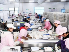 貴州大方：日產(chǎn)量達(dá)70噸，產(chǎn)值達(dá)60余萬元！工廠化種植食用菌助農(nóng)增收 ()