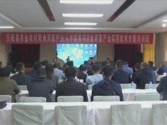 甘肅省天?？h開展食用菌實(shí)用技術(shù)專題培訓(xùn) ()
