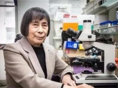 中國(guó)科學(xué)院院士、中科院微生物研究所研究員莊文穎：為認(rèn)識(shí)真菌付出畢生努力 ()