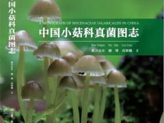 吉林農(nóng)業(yè)大學(xué)圖力古爾教授團(tuán)隊(duì)著作《中國(guó)小菇科真菌圖志》正式出版 ()