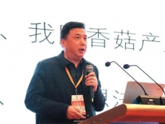 邊銀丙：香菇產(chǎn)業(yè)“三駕馬車”失去動力 如何化險(xiǎn)為夷？ ()