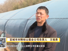 喜訊！湖北裕山菌業(yè)首批羊肚菌順利出菇 ()