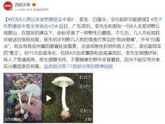 千萬別亂吃！好友6人爬山采食野蘑菇全中毒 ()