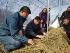 華中農(nóng)業(yè)大學(xué)邊銀丙教授赴仙桃、宜昌等地開展“鄉(xiāng)村振興荊楚行”工作 ()